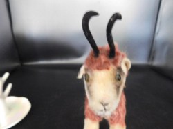 steiff goat face